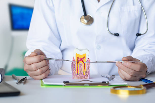 Best Pediatric Emergency Dentist in De Soto, KS